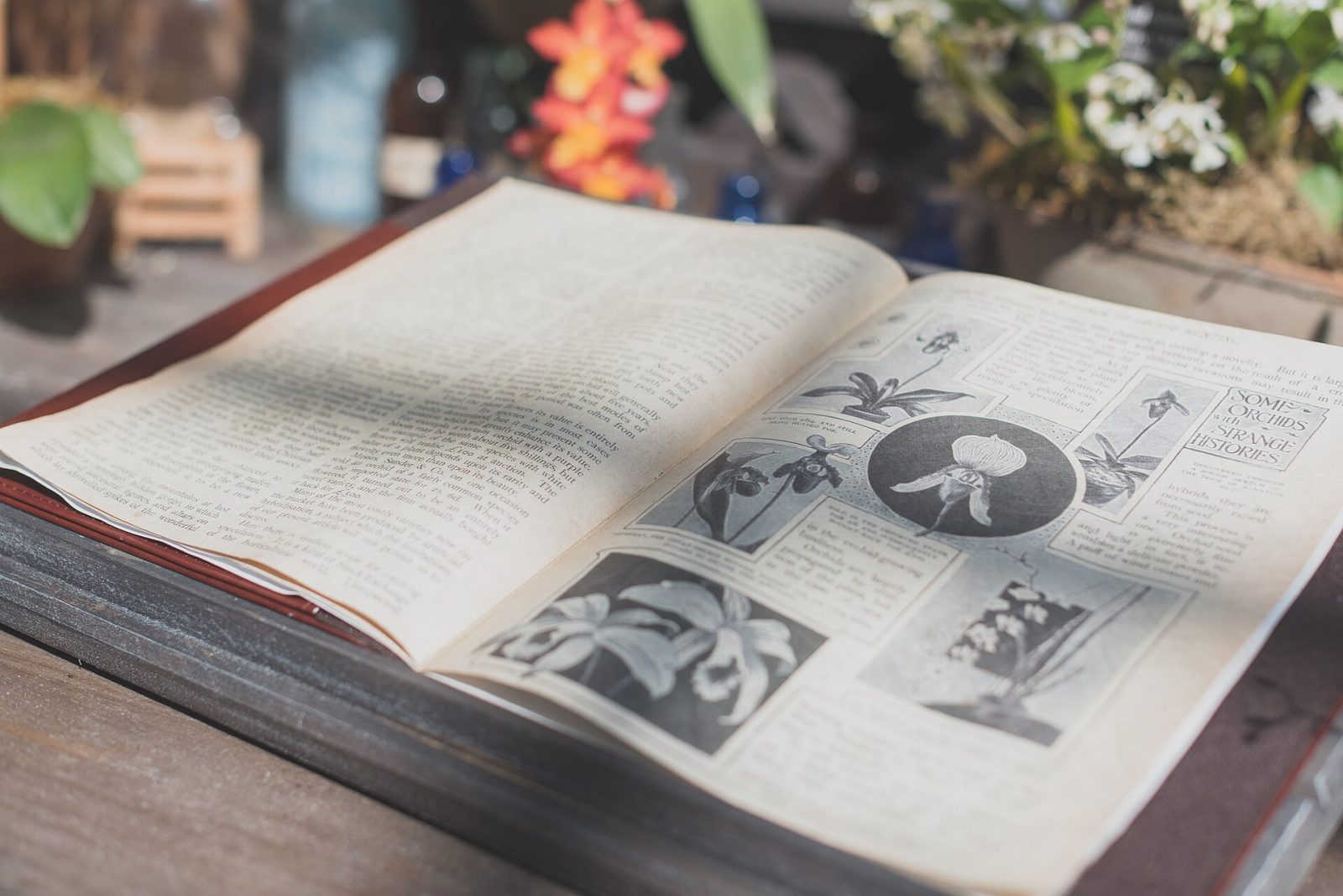 An open sketchbook with a vintage camera, drafting tools of a working studio.