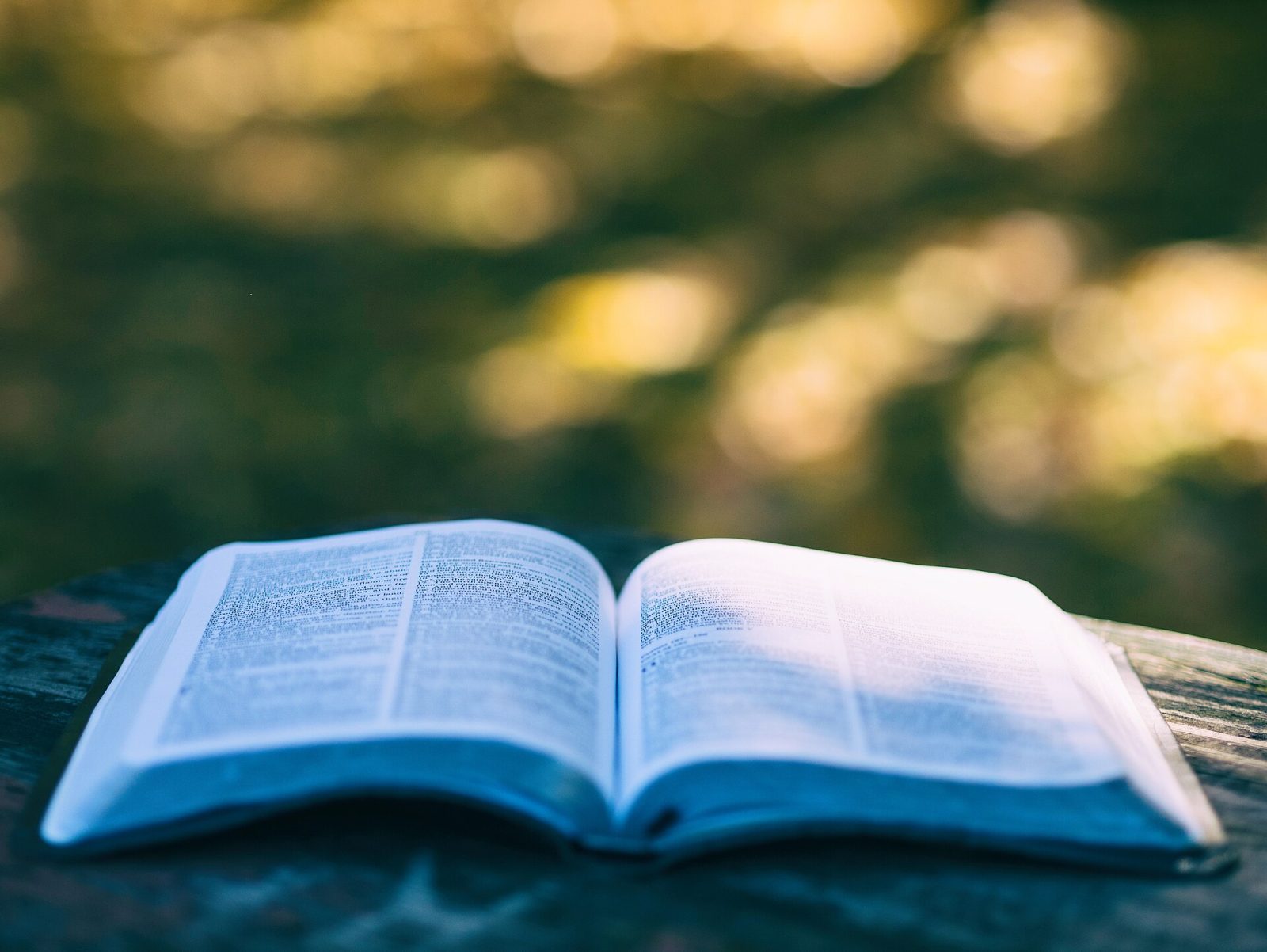Soft, translucent open pages of a book, evoking a watermark seen against light.